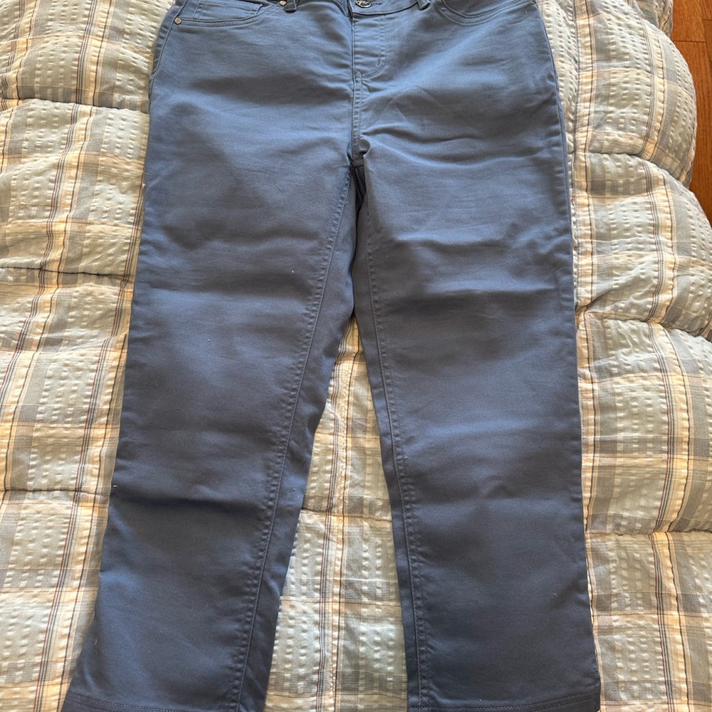 Blue Casual Pants
